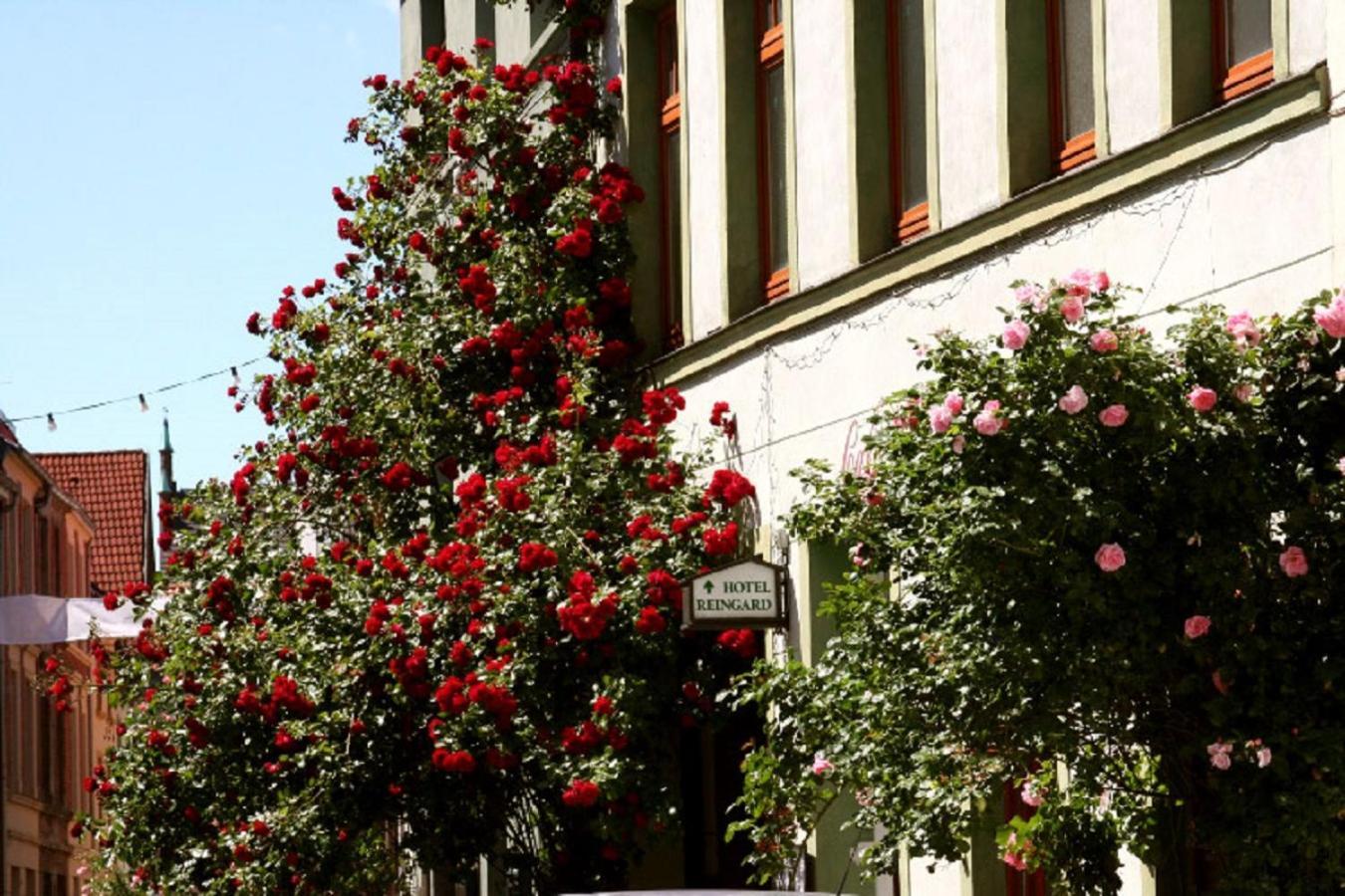 Hotel Reingard Wißmar Dış mekan fotoğraf